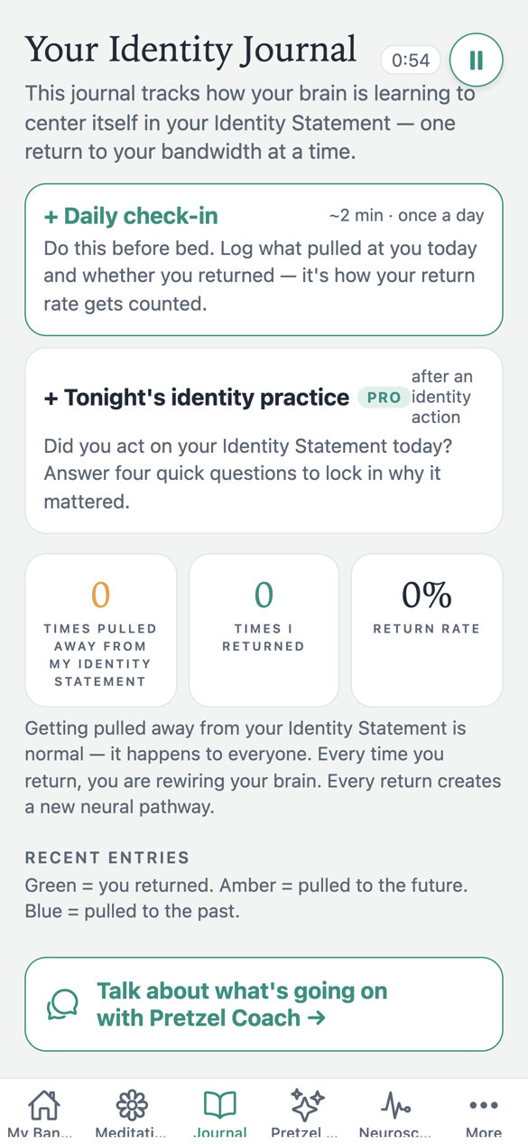 The Identity Journal with a daily check-in and past entries